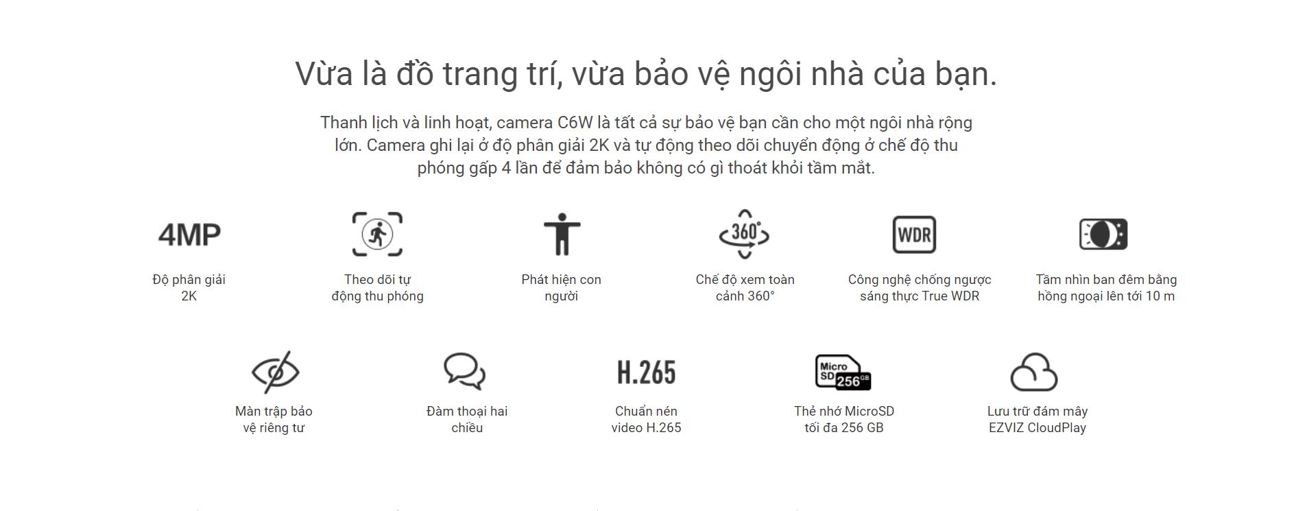 Camera C6W (4.0MP)